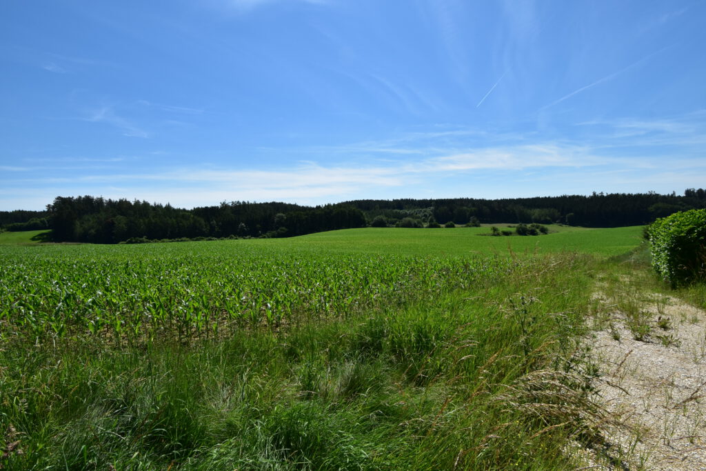 Ausblick